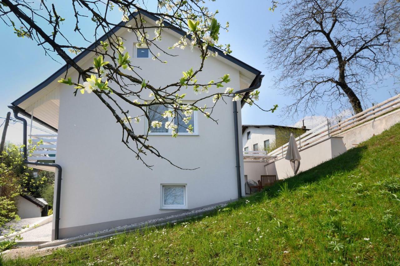 Apartment Micnek ブレッド エクステリア 写真